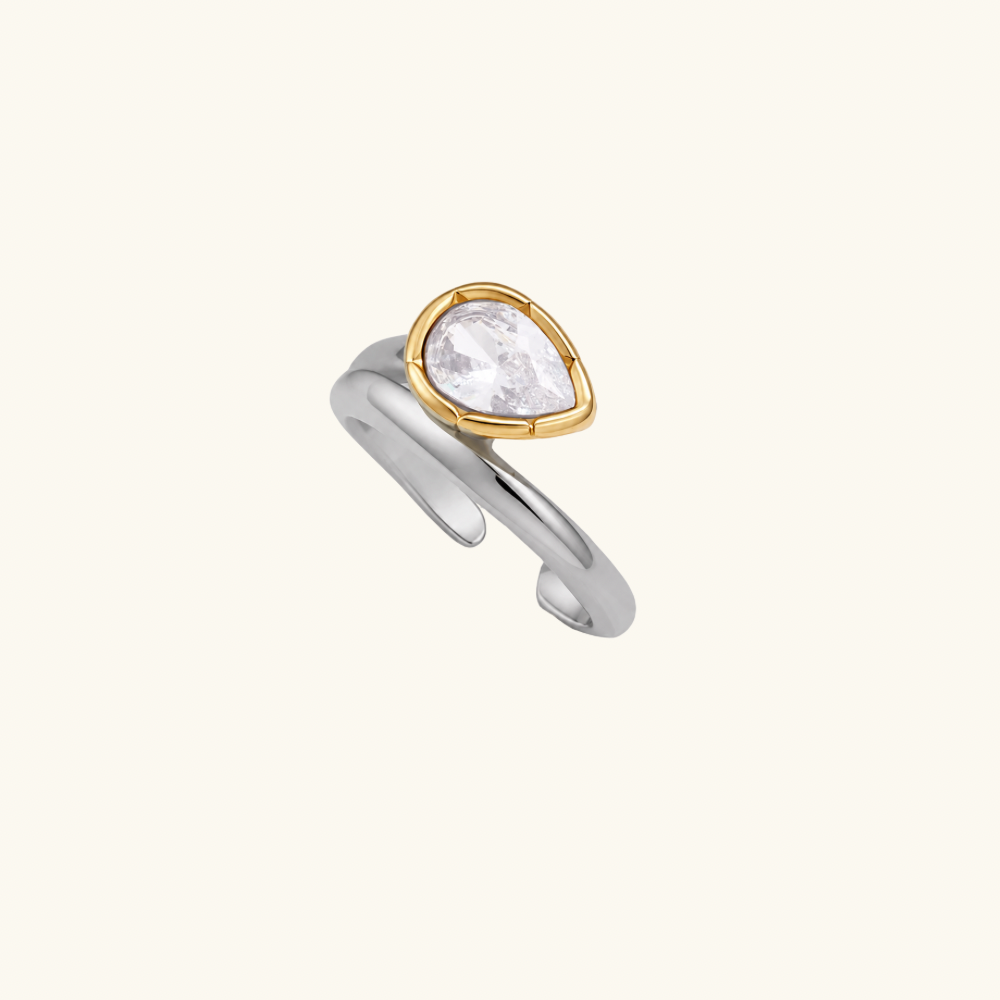 Coastal Ice Ring