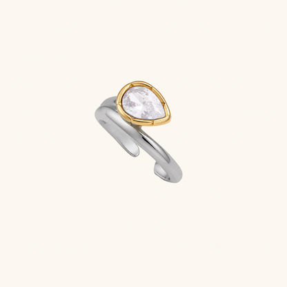 Coastal Ice Ring