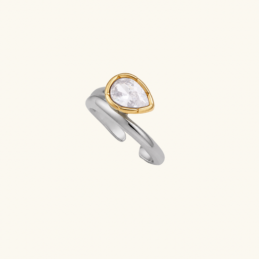 Coastal Ice Ring