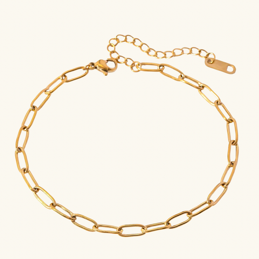 Paperclip Anklet