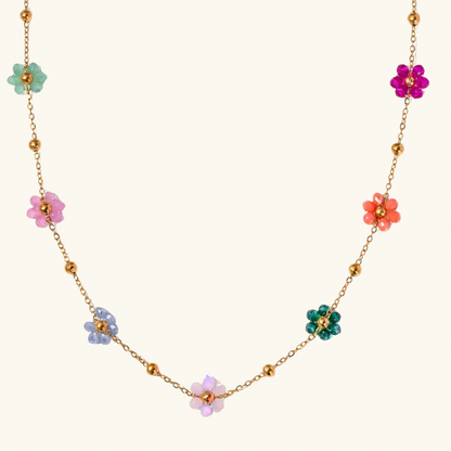 Daisy Dreams - Colorful